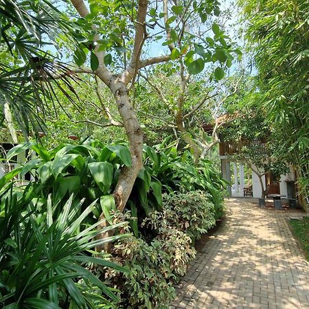 Villa Arana Bentota Dış mekan fotoğraf