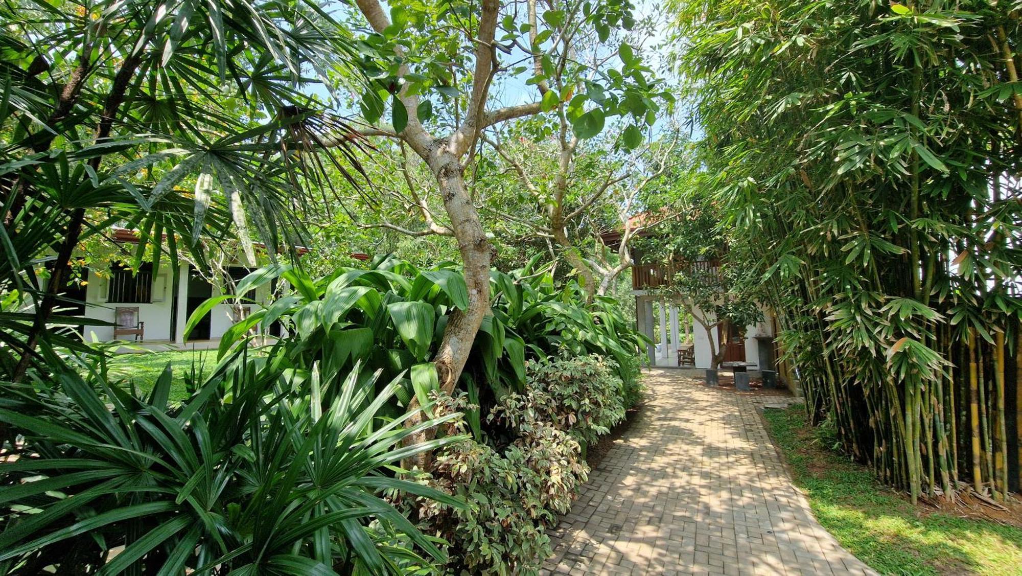 Villa Arana Bentota Dış mekan fotoğraf