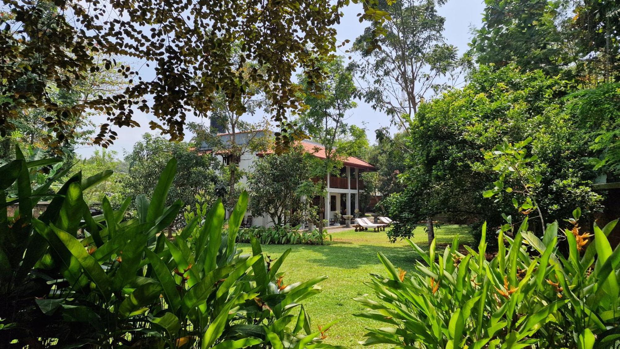 Villa Arana Bentota Dış mekan fotoğraf