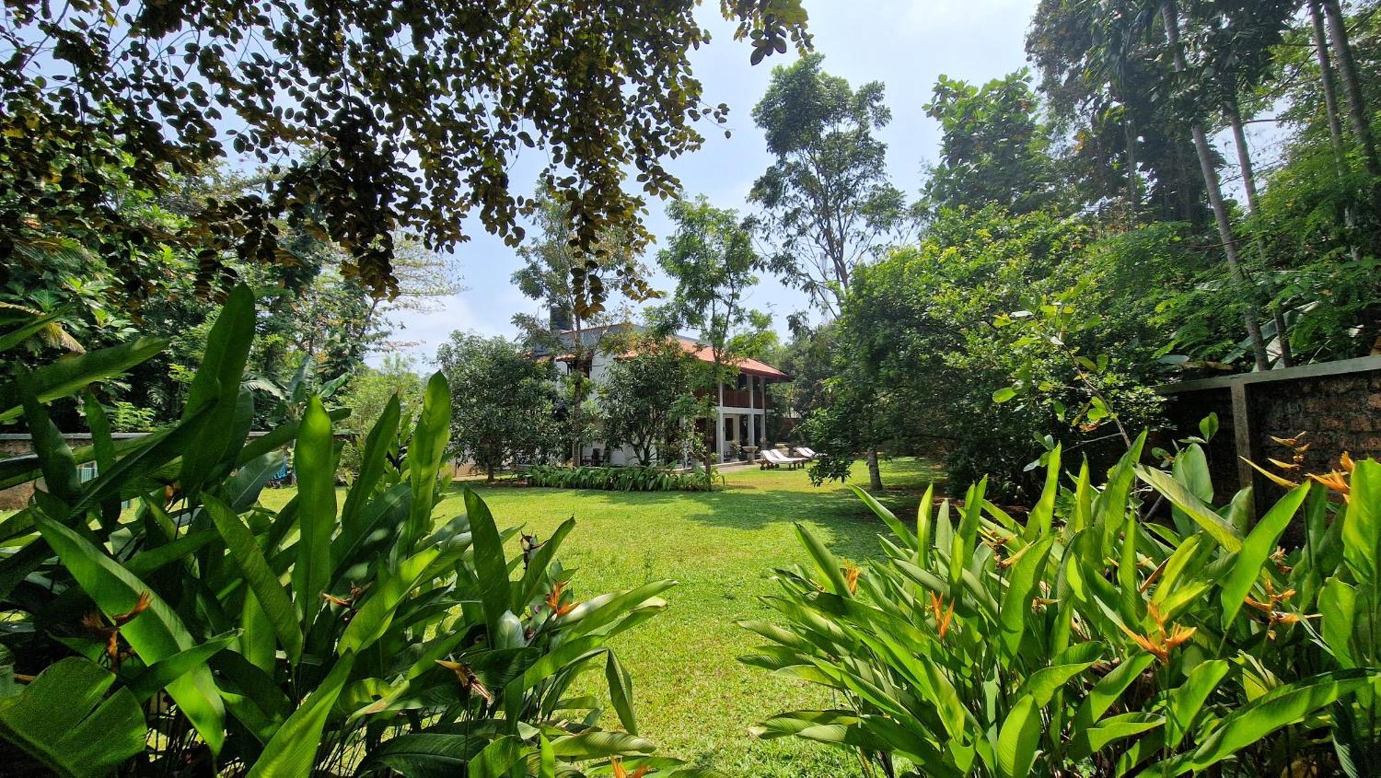Villa Arana Bentota Dış mekan fotoğraf