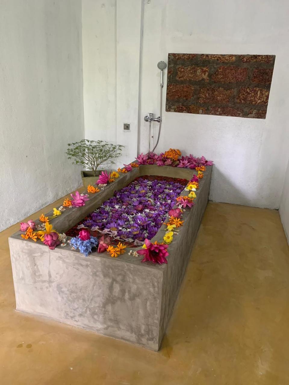 Villa Arana Bentota Dış mekan fotoğraf